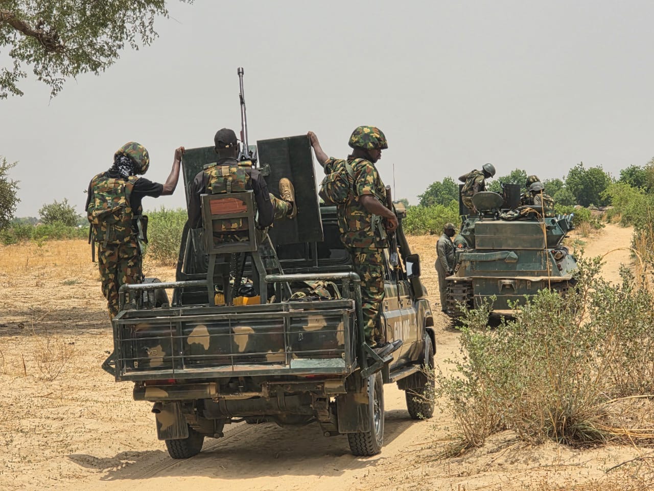 Troops rescue kidnap victim, recover 126 rustled livestock in Katsina