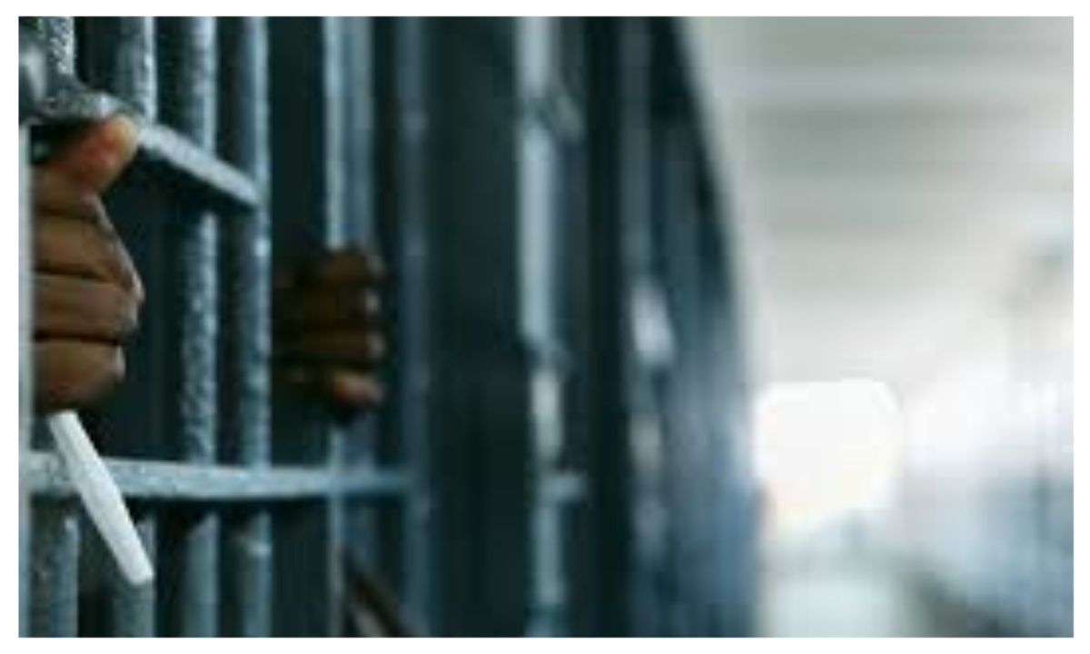 Ogun NDLEA secures 28-year jail term for drug trafficker