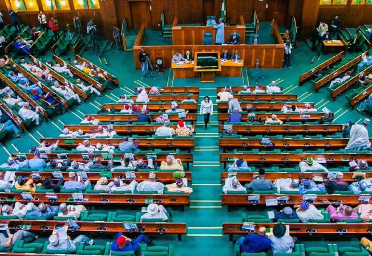 Reps Move to Assess Losses Suffered by Nigerians During South Africa Xenophobia