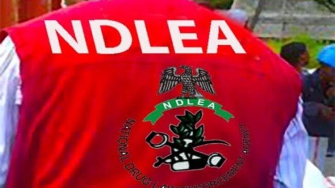NDLEA intercepts N10b worth of cocaine, recovers 401 military grade ammunition
