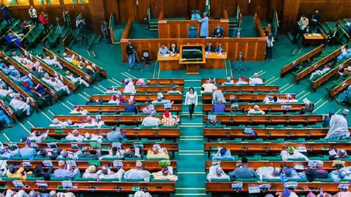 Reps Summon Foreign Affairs Minister, NSA Over Fake Presidential Investment Agency