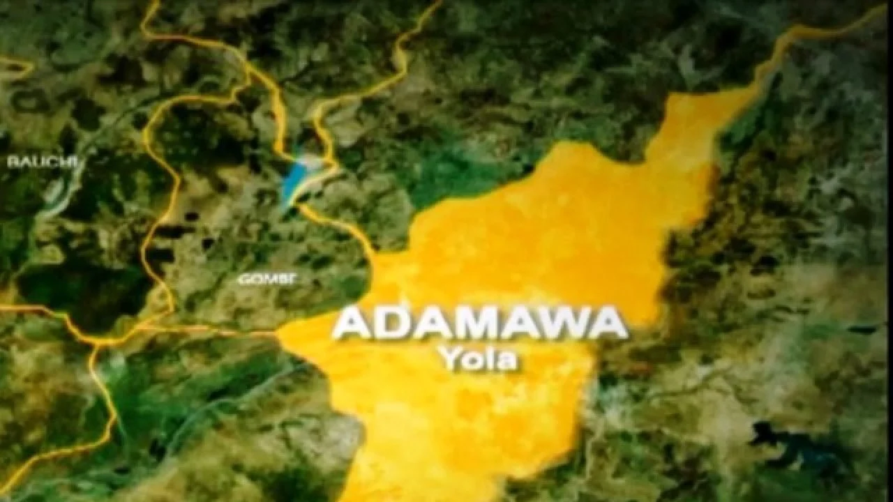 Abducted 10-year-old girl found abandoned in Adamawa
