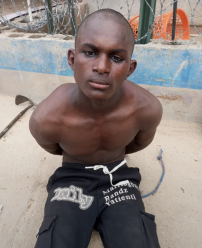 Troops arrest suspected ISWAP operative in Borno