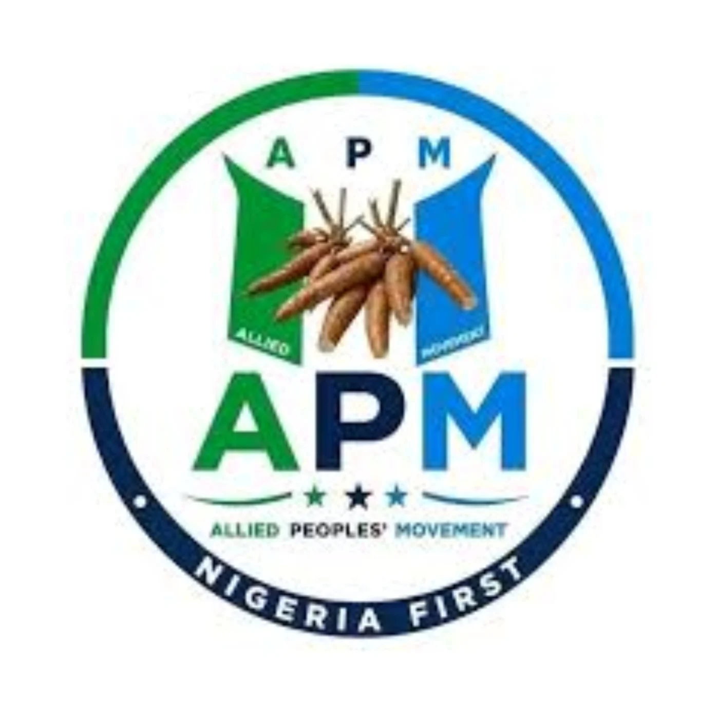2027: Dead on arrival — APM reacts to Tinubu’s campaign council