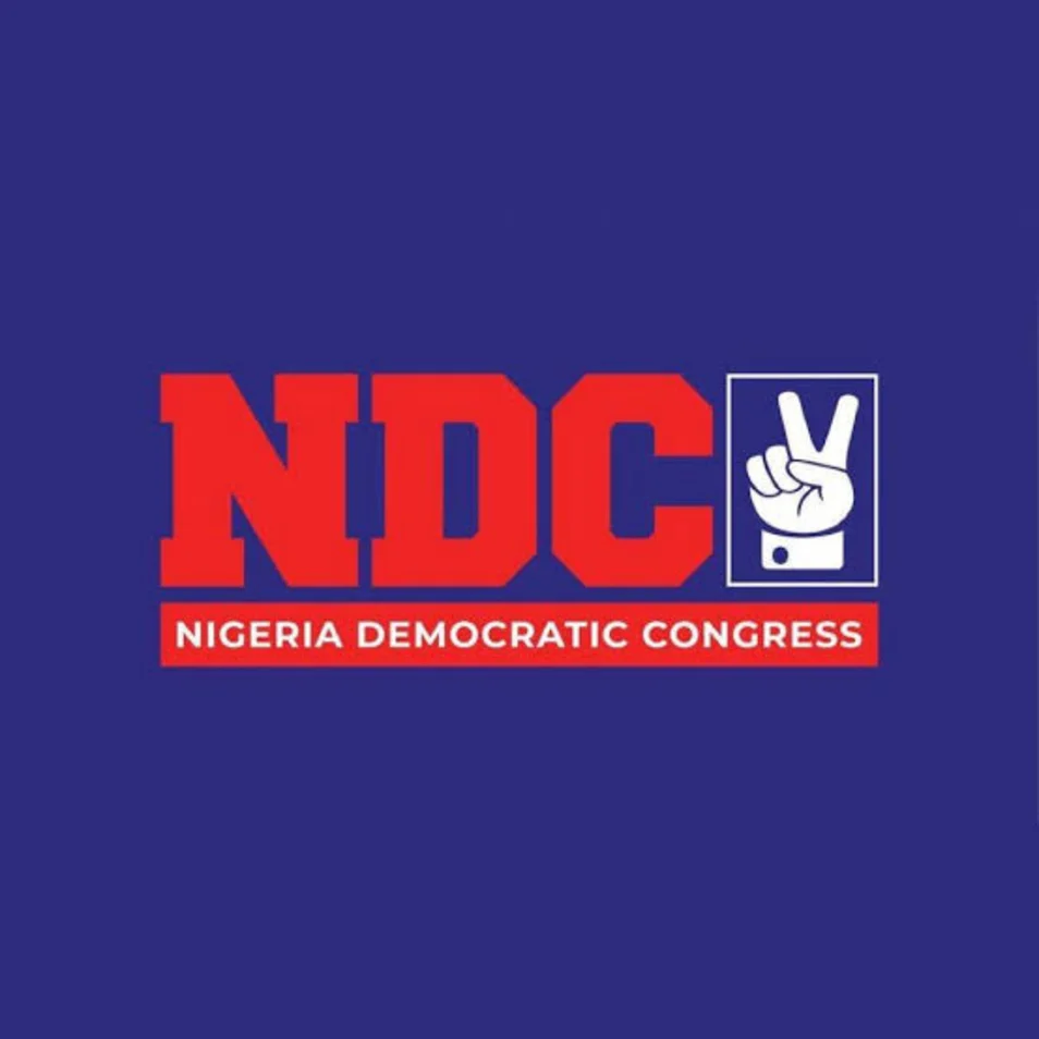 2027: Name Elon Musk campaign DG, we’ll defeat you silly – NDC to APC