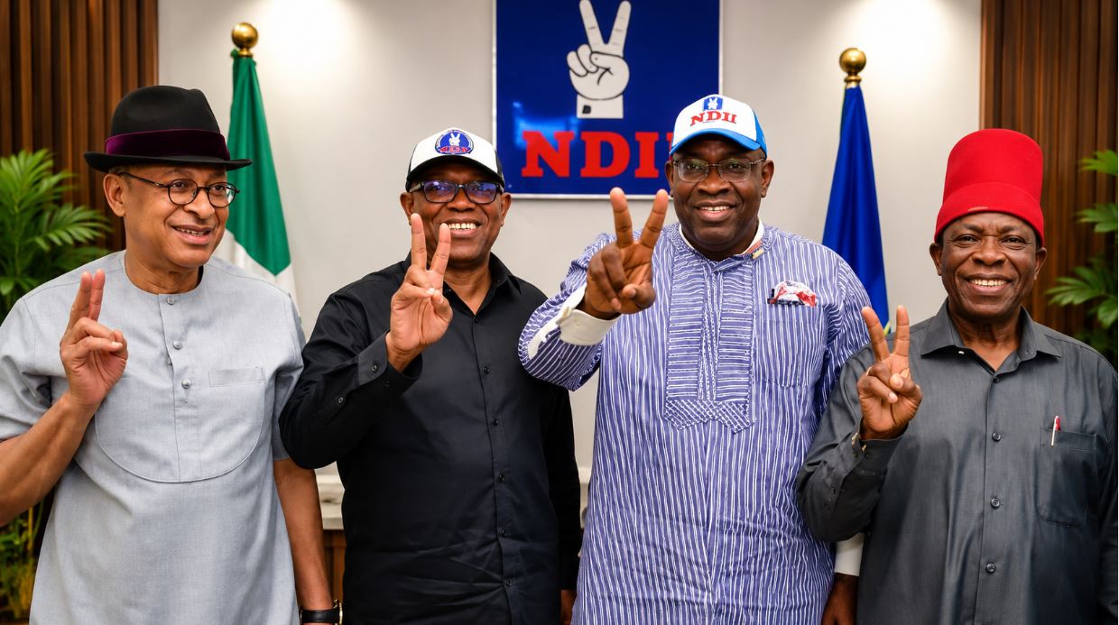 2027 Election: Pratt Tunde Sues INEC, NDC Over Alleged Candidate Substitution in Lagos