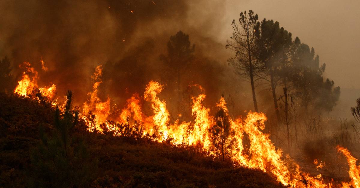 Indonesia Deploys Aircraft To Combat Forest Fires