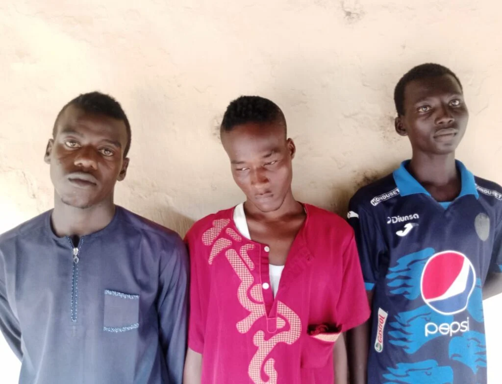 Adamawa court jails three Shila boys 10 years each for extortion