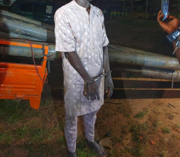Two arrested in Adamawa over theft from Bamanga Tukur’s farm