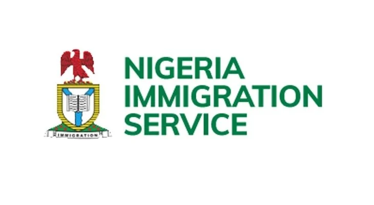 NIS intercepts 17 irregular migrants, arrests two with N34m ransom in Adamawa