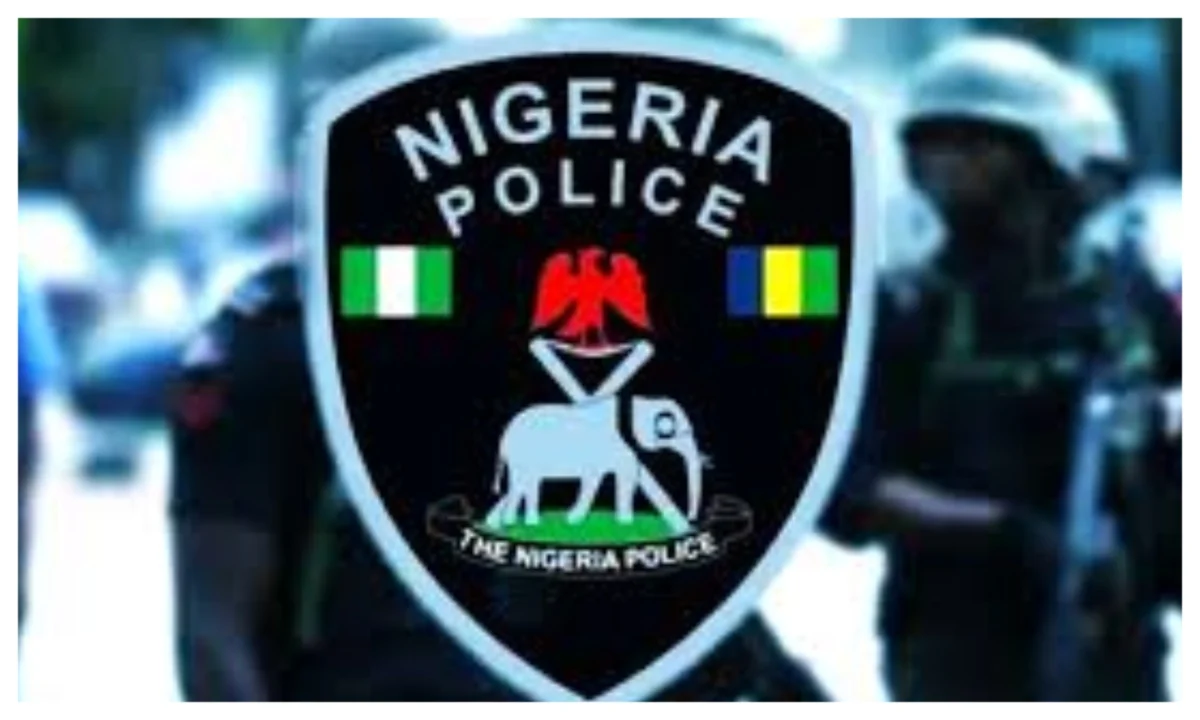 Niger: Police confirm IED found at New Bussa General Hospital