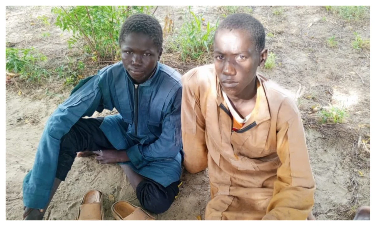 Two teenage terrorists escape camp, surrender to troops in Borno 