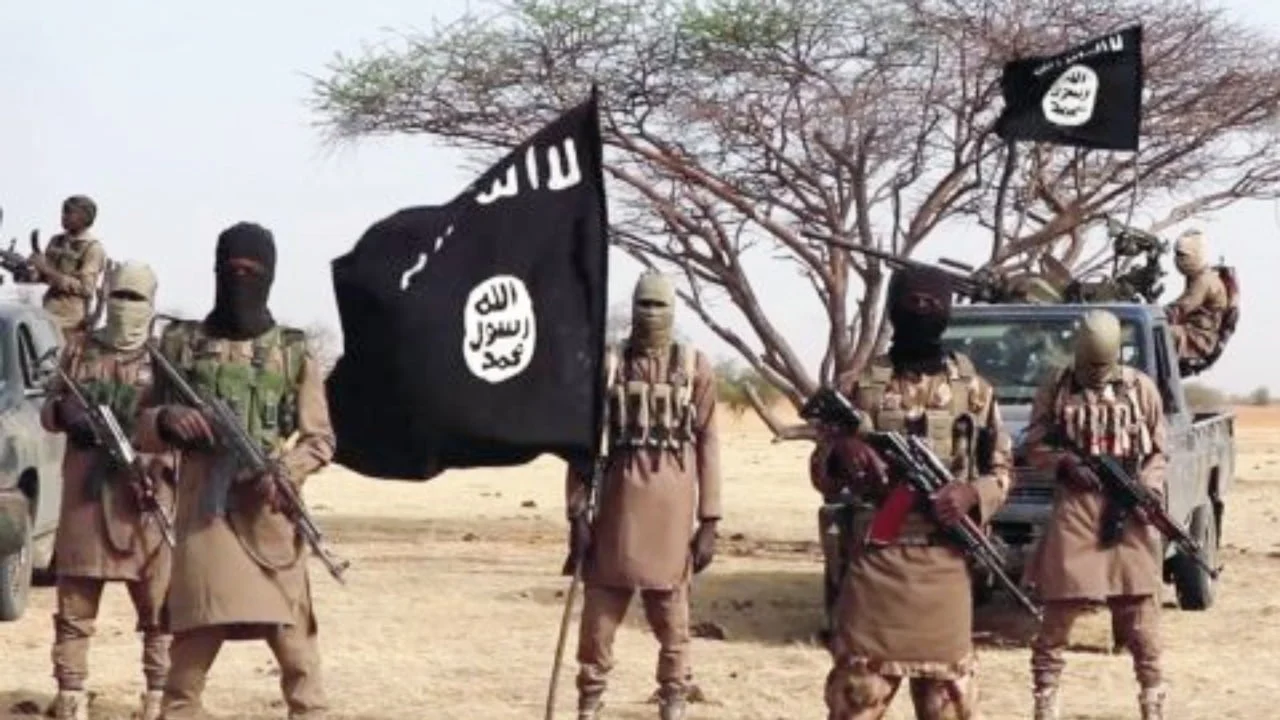 Boko Haram attack claims 11 lives in Adamawa
