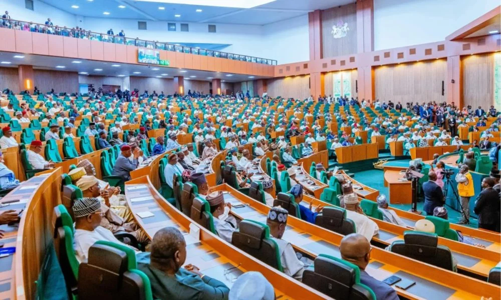 Reps summon NNPCL, INEC over alleged N802bn audit breaches, give HYPREP 7-day ultimatum