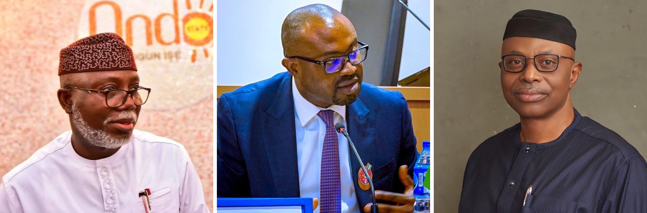 2027: Aiyedatiwa, Tunji-Ojo, Mimiko, 225 Others Lead Tinubu Campaign in Ondo